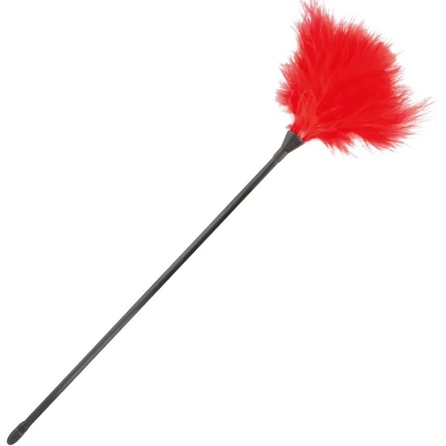 Accessoire Bdsm Plume Rouge Pour Débutants - Image 2