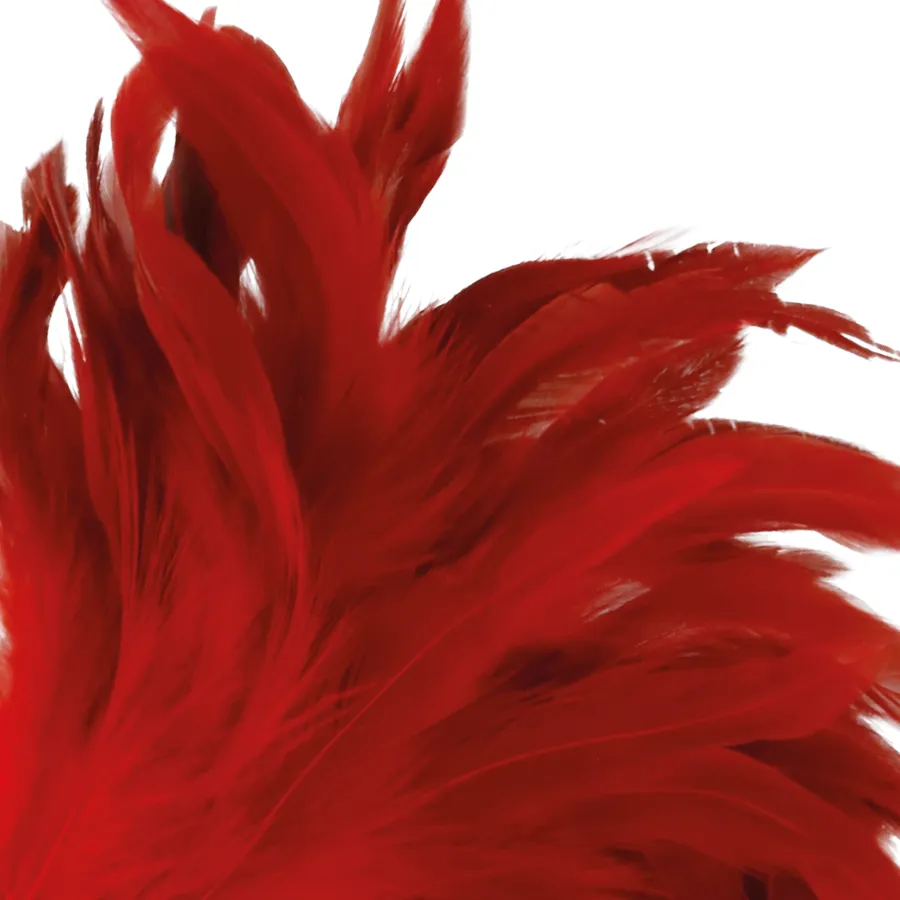 Accessoire Bdsm Plumes Rouges Érotiques - Image 3