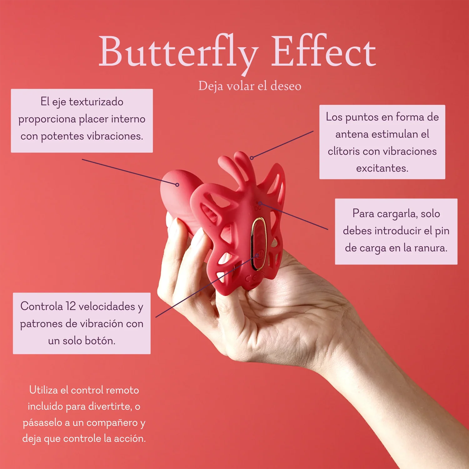 Butterfly Effect - Image 7