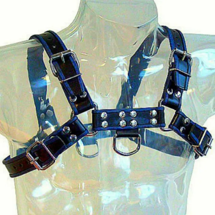 Harnais Bondage Cuir Noir Pour Bulldog - Image 2