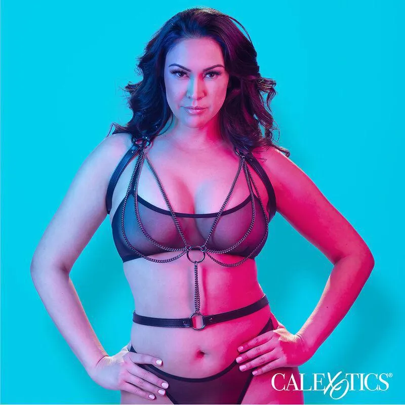 Harnais Licol Grande Taille Luxe Multi Chaînes - Image 3