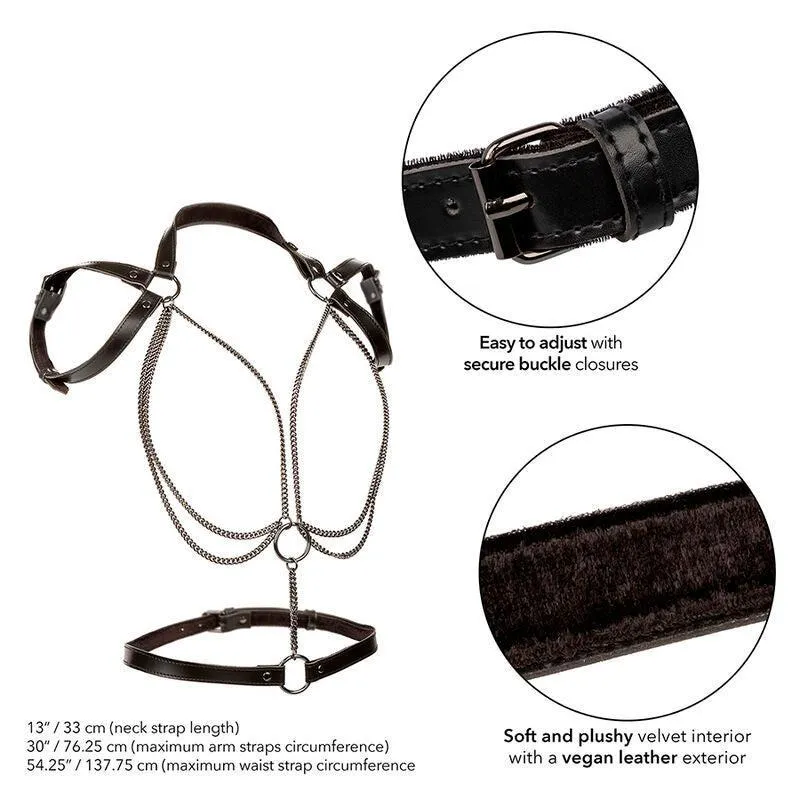 Harnais Licol Grande Taille Luxe Multi Chaînes - Image 4