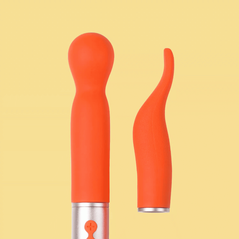 the naughty collection interchangeable heads vibrator honey play box official 2